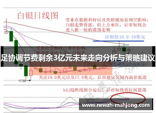 足协调节费剩余3亿元未来走向分析与策略建议 足协调节费剩余3亿元未来走向分析与策略建议